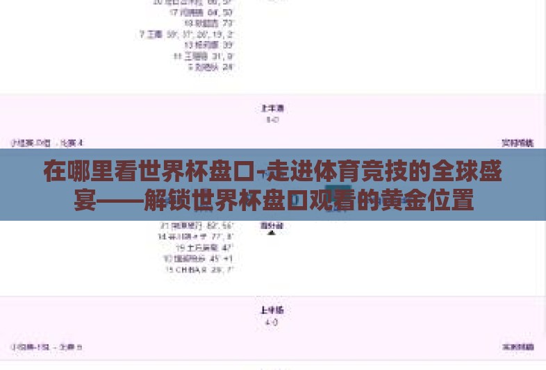 在哪里看世界杯盘口-走进体育竞技的全球盛宴——解锁世界杯盘口观看的黄金位置