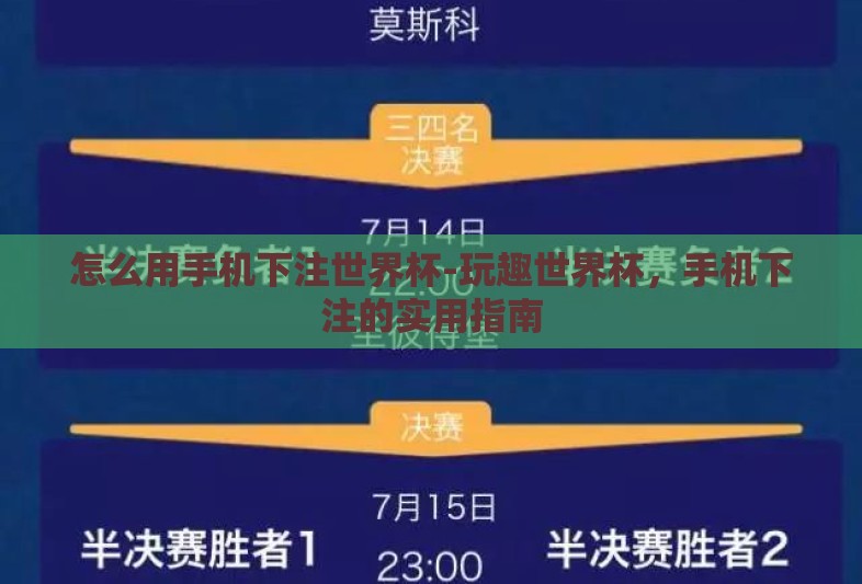 怎么用手机下注世界杯-玩趣世界杯，手机下注的实用指南