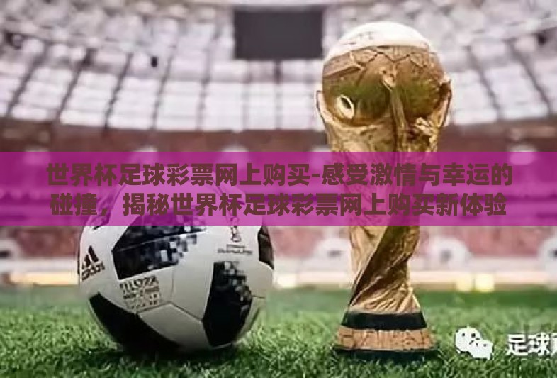 世界杯足球彩票网上购买-感受激情与幸运的碰撞，揭秘世界杯足球彩票网上购买新体验