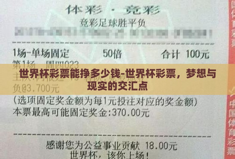 世界杯彩票能挣多少钱-世界杯彩票，梦想与现实的交汇点