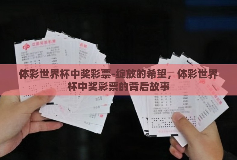 体彩世界杯中奖彩票-绽放的希望，体彩世界杯中奖彩票的背后故事