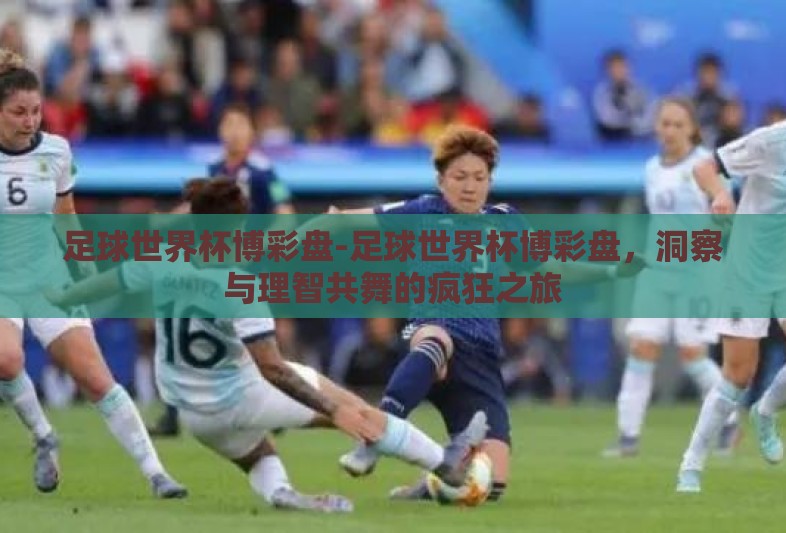 足球世界杯博彩盘-足球世界杯博彩盘，洞察与理智共舞的疯狂之旅