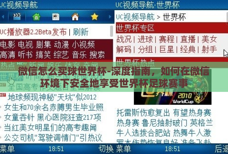 微信怎么买球世界杯-深度指南，如何在微信环境下安全地享受世界杯足球赛事