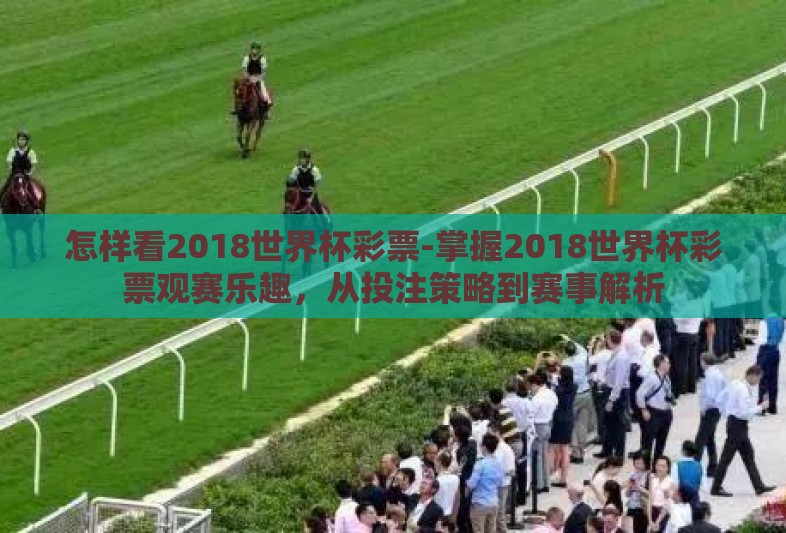 怎样看2018世界杯彩票-掌握2018世界杯彩票观赛乐趣,从投注策略到赛事解析 怎样看2018世界杯彩票-掌握2018世界杯彩票观赛乐趣,从投注策略到赛事解析
