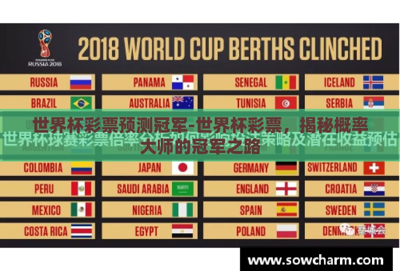 世界杯彩票预测冠军-世界杯彩票，揭秘概率大师的冠军之路