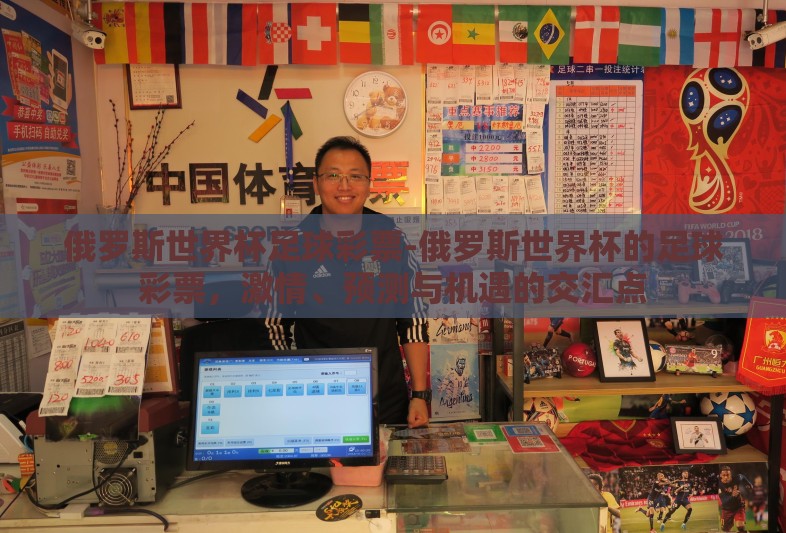 俄罗斯世界杯足球彩票-俄罗斯世界杯的足球彩票，激情、预测与机遇的交汇点