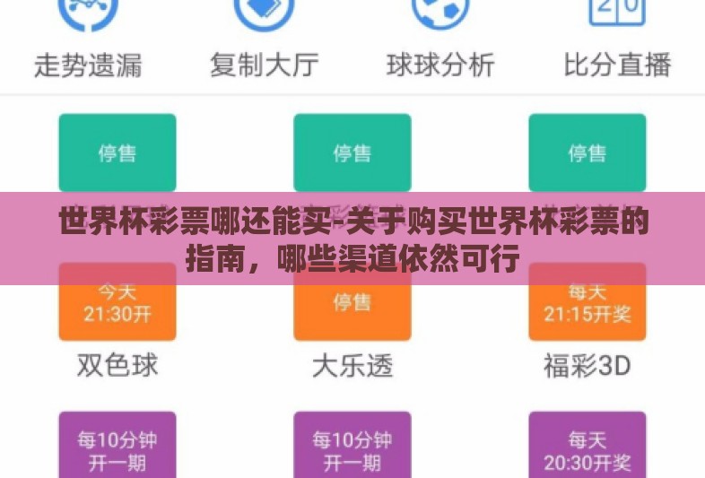 世界杯彩票哪还能买-关于购买世界杯彩票的指南，哪些渠道依然可行