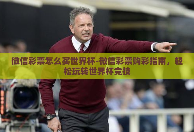 微信彩票怎么买世界杯-微信彩票购彩指南，轻松玩转世界杯竞技