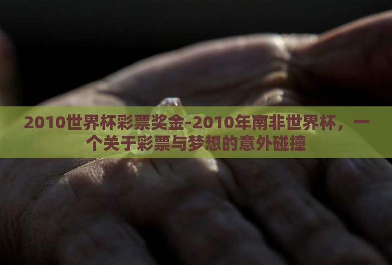 2010世界杯彩票奖金-2010年南非世界杯，一个关于彩票与梦想的意外碰撞