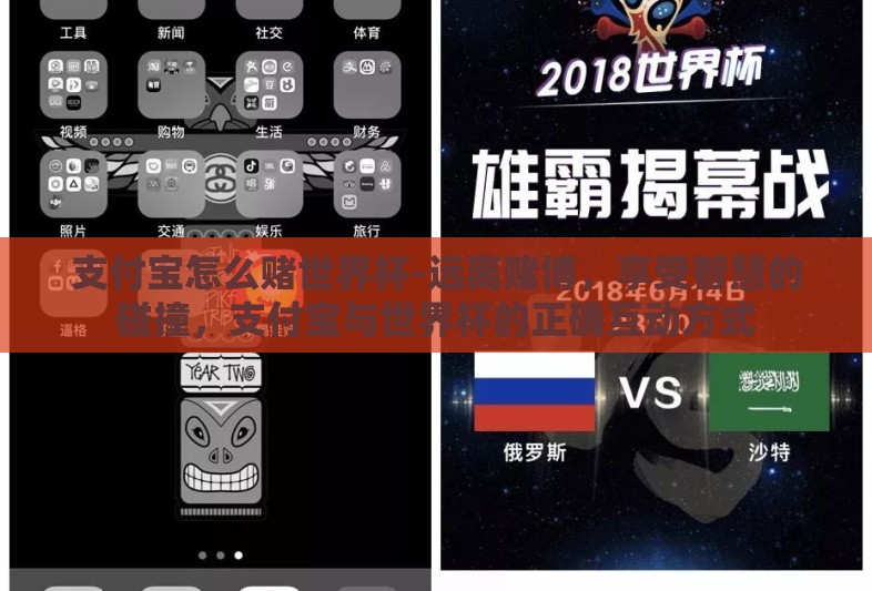 支付宝怎么赌世界杯-远离赌博，享受智慧的碰撞，支付宝与世界杯的正确互动方式