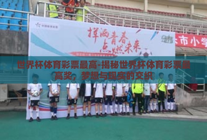 世界杯体育彩票最高-揭秘世界杯体育彩票最高奖，梦想与现实的交织