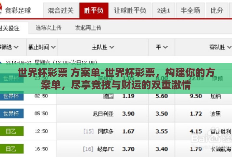世界杯彩票 方案单-世界杯彩票，构建你的方案单，尽享竞技与财运的双重激情