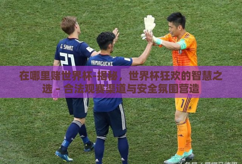 在哪里赌世界杯-揭秘，世界杯狂欢的智慧之选 – 合法观赛渠道与安全氛围营造