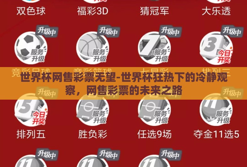 世界杯网售彩票无望-世界杯狂热下的冷静观察，网售彩票的未来之路