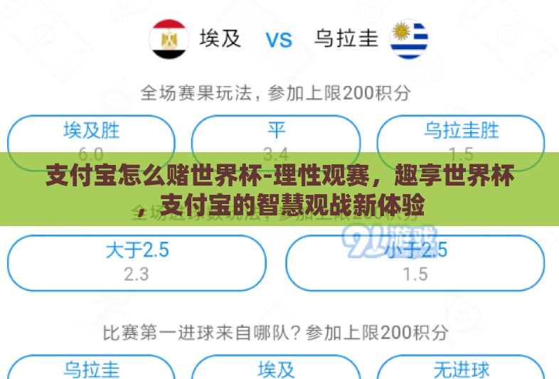 支付宝怎么赌世界杯-理性观赛,趣享世界杯,支付宝的智慧观战新体验 支付宝怎么赌世界杯-理性观赛,趣享世界杯,支付宝的智慧观战新体验