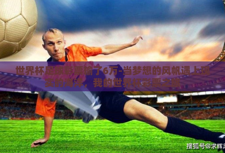 世界杯足球彩票输了6万-当梦想的风帆遇上现实的海洋，我的世界杯彩票之旅