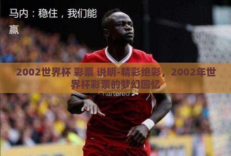 2002世界杯 彩票 说明-精彩绝彩,2002年世界杯彩票的梦幻回忆 2002世界杯 彩票 说明-精彩绝彩,2002年世界杯彩票的梦幻回忆