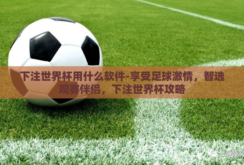 下注世界杯用什么软件-享受足球激情,智选观赛伴侣,下注世界杯攻略 下注世界杯用什么软件-享受足球激情,智选观赛伴侣,下注世界杯攻略