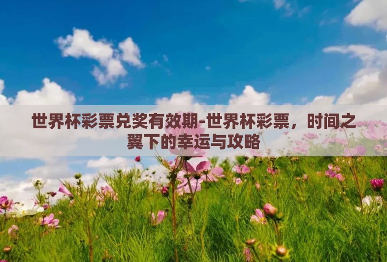 世界杯彩票兑奖有效期-世界杯彩票，时间之翼下的幸运与攻略