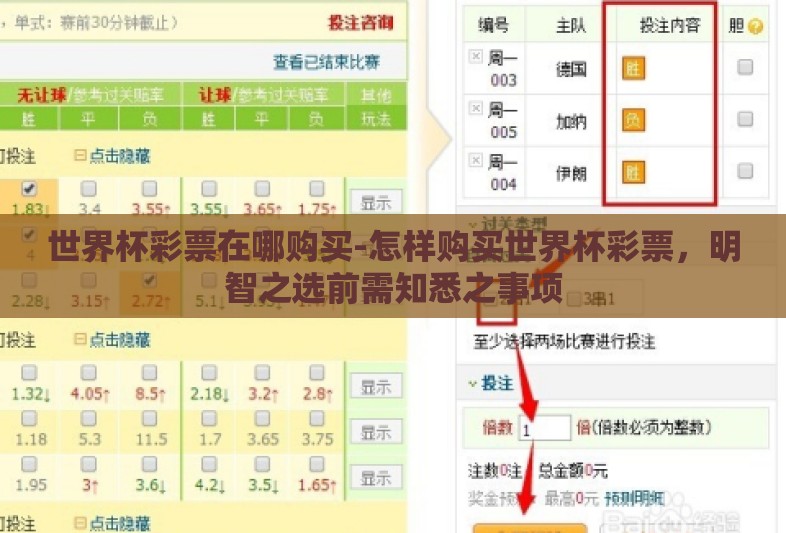 世界杯彩票在哪购买-怎样购买世界杯彩票，明智之选前需知悉之事项