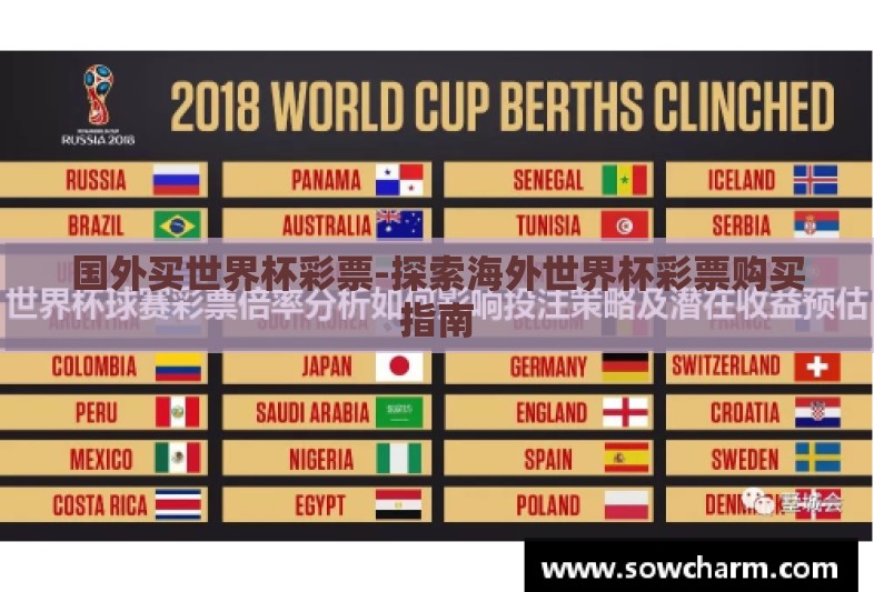 国外买世界杯彩票-探索海外世界杯彩票购买指南