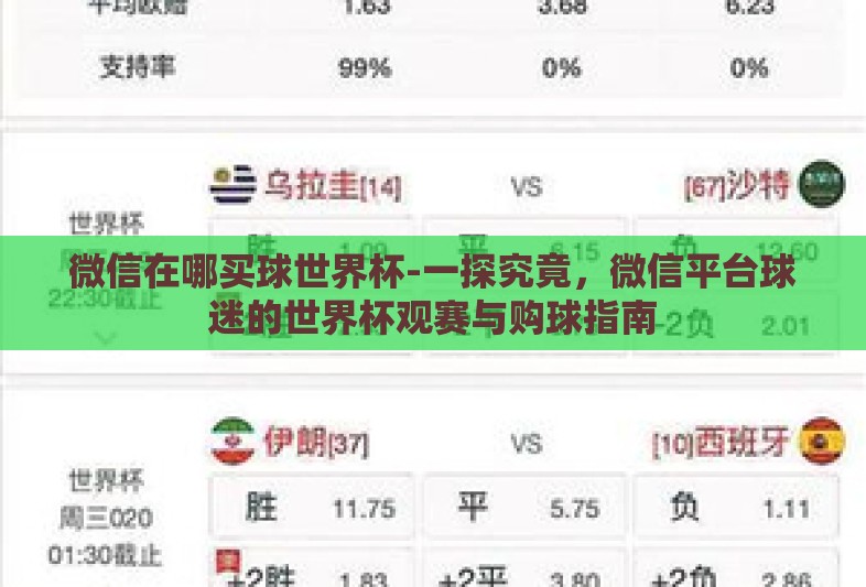 微信在哪买球世界杯-一探究竟，微信平台球迷的世界杯观赛与购球指南