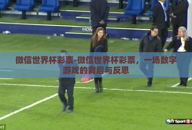 微信世界杯彩票-微信世界杯彩票，一场数字游戏的背后与反思