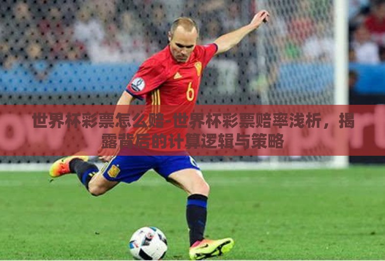 世界杯彩票怎么赔-世界杯彩票赔率浅析，揭露背后的计算逻辑与策略