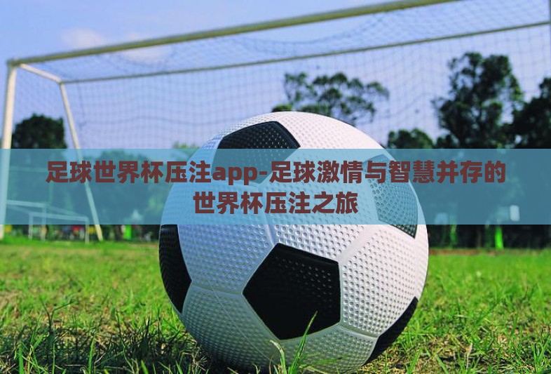 足球世界杯压注app-足球激情与智慧并存的世界杯压注之旅 足球世界杯压注app-足球激情与智慧并存的世界杯压注之旅