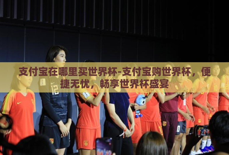 支付宝在哪里买世界杯-支付宝购世界杯，便捷无忧，畅享世界杯盛宴