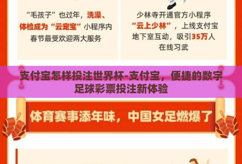 支付宝怎样投注世界杯-支付宝,便捷的数字足球彩票投注新体验 支付宝怎样投注世界杯-支付宝,便捷的数字足球彩票投注新体验