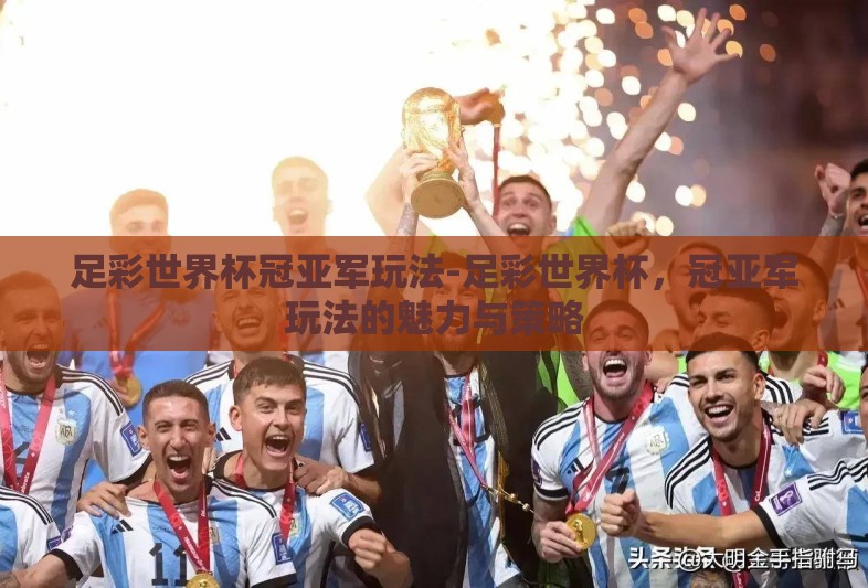 足彩世界杯冠亚军玩法-足彩世界杯，冠亚军玩法的魅力与策略