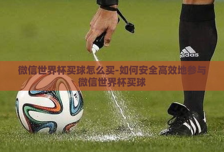 微信世界杯买球怎么买-如何安全高效地参与微信世界杯买球