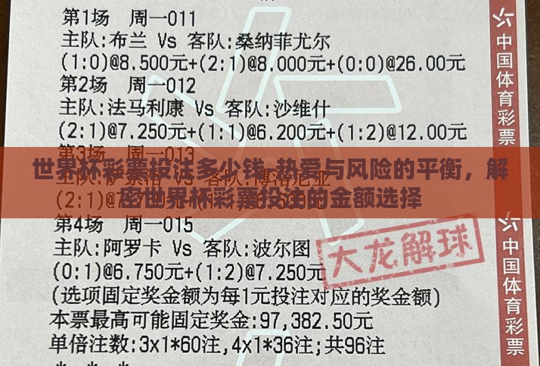 世界杯彩票投注多少钱-热爱与风险的平衡，解密世界杯彩票投注的金额选择