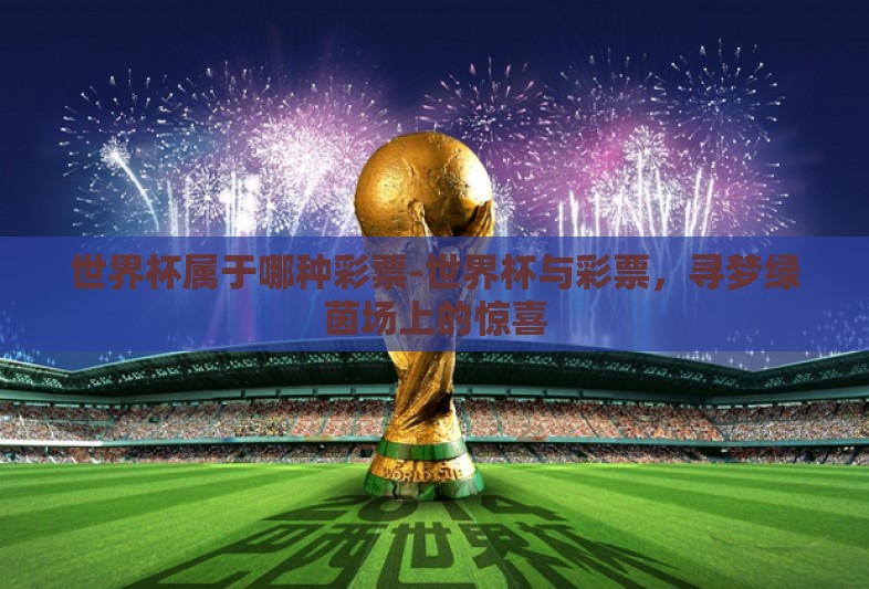 世界杯属于哪种彩票-世界杯与彩票，寻梦绿茵场上的惊喜