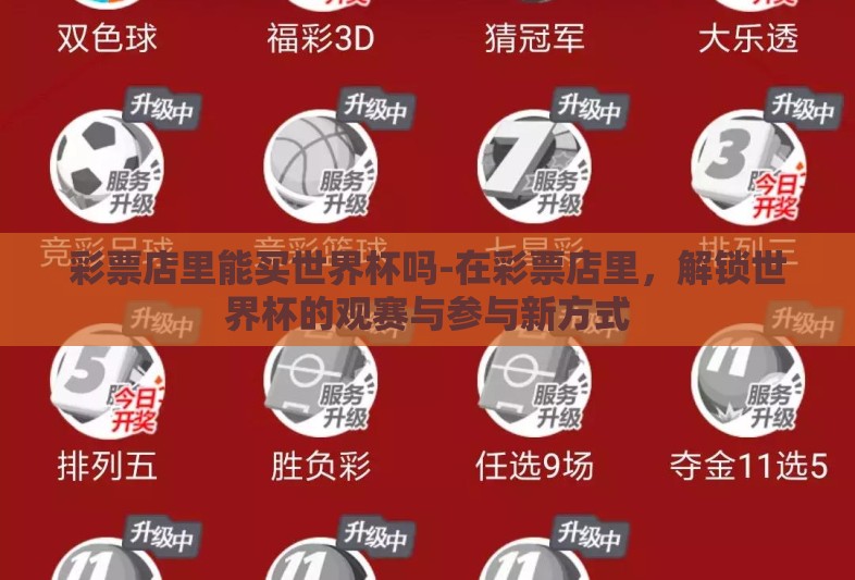 彩票店里能买世界杯吗-在彩票店里，解锁世界杯的观赛与参与新方式