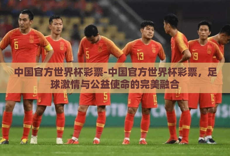 中国官方世界杯彩票-中国官方世界杯彩票，足球激情与公益使命的完美融合