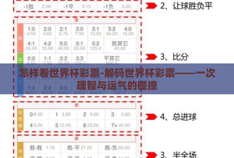 怎样看世界杯彩票-解码世界杯彩票——一次理智与运气的碰撞