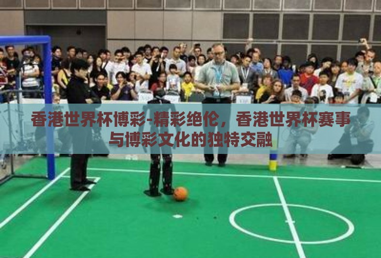 香港世界杯博彩-精彩绝伦，香港世界杯赛事与博彩文化的独特交融