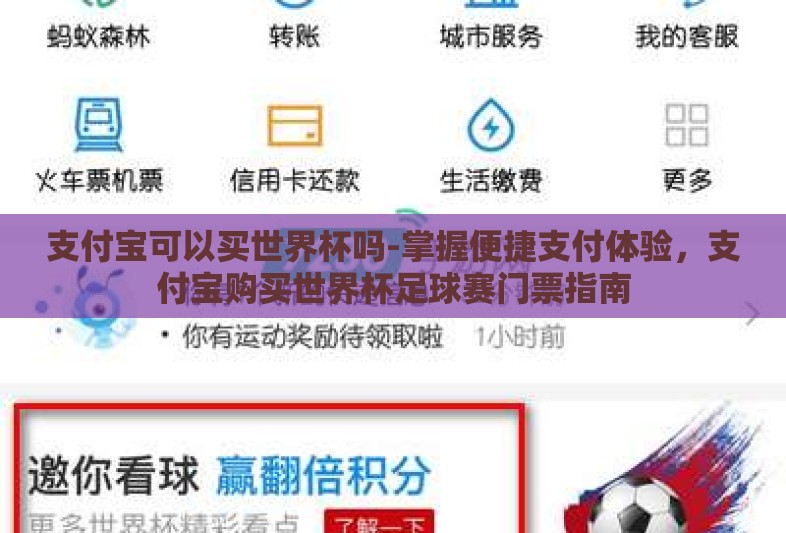 支付宝可以买世界杯吗-掌握便捷支付体验，支付宝购买世界杯足球赛门票指南