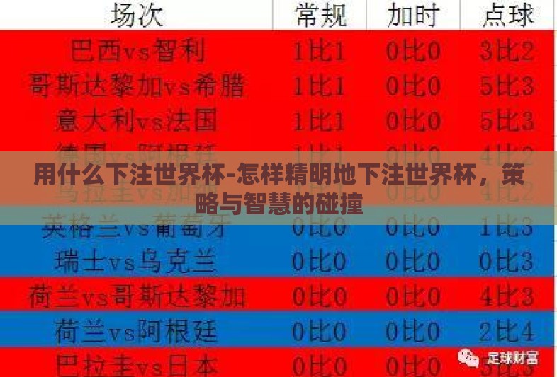 用什么下注世界杯-怎样精明地下注世界杯，策略与智慧的碰撞