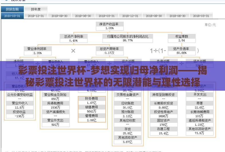彩票投注世界杯-梦想实现归母净利润——揭秘彩票投注世界杯的无限潜能与理性选择