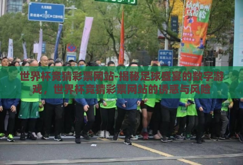 世界杯竞猜彩票网站-揭秘足球盛宴的数字游戏，世界杯竞猜彩票网站的诱惑与风险