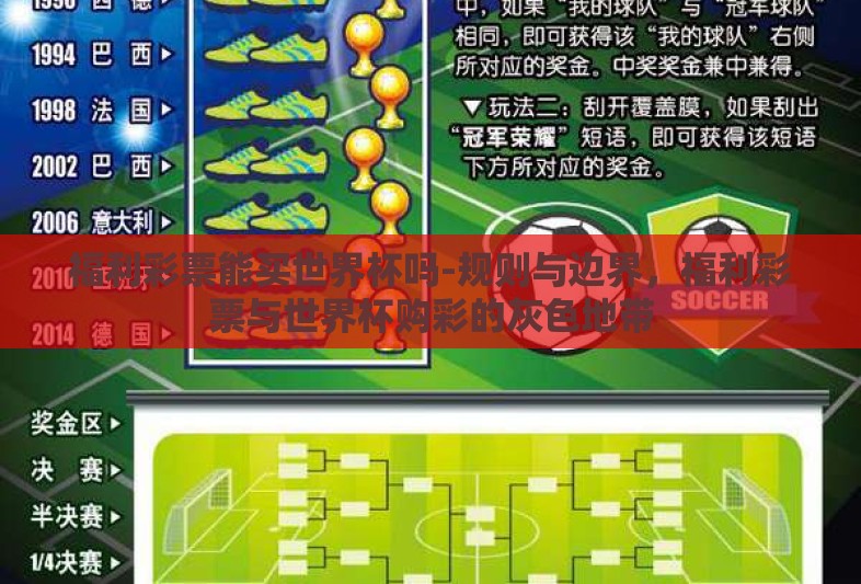 福利彩票能买世界杯吗-规则与边界，福利彩票与世界杯购彩的灰色地带
