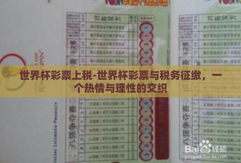 世界杯彩票上税-世界杯彩票与税务征缴，一个热情与理性的交织