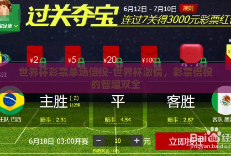 世界杯彩票单场倍投-世界杯激情，彩票倍投的智趣双全