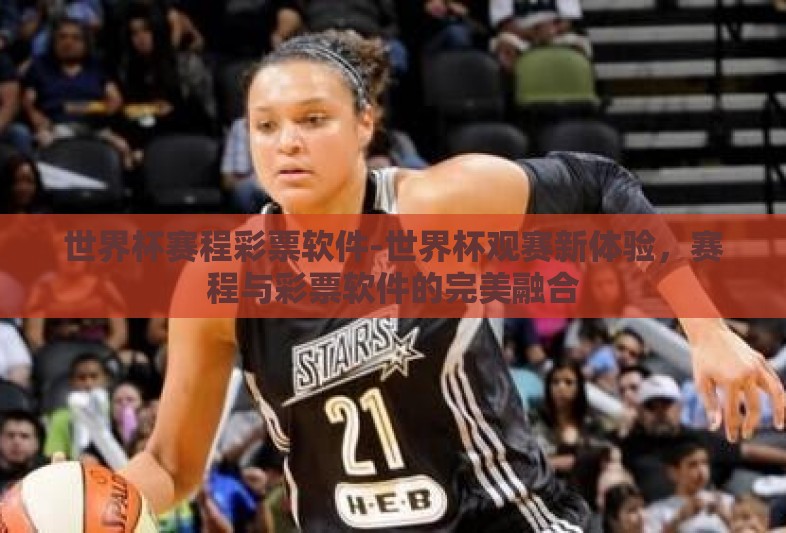世界杯赛程彩票软件-世界杯观赛新体验，赛程与彩票软件的完美融合