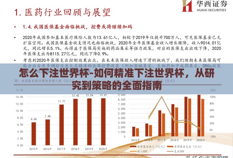 怎么下注世界杯-如何精准下注世界杯，从研究到策略的全面指南