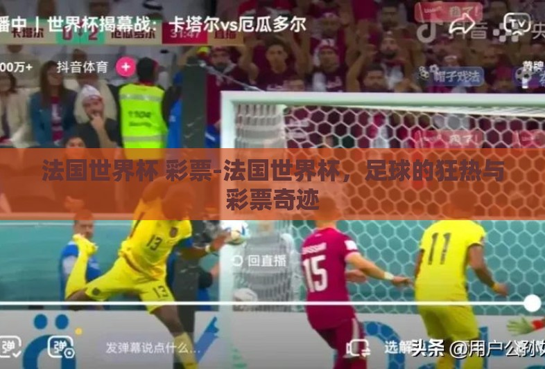 法国世界杯 彩票-法国世界杯，足球的狂热与彩票奇迹