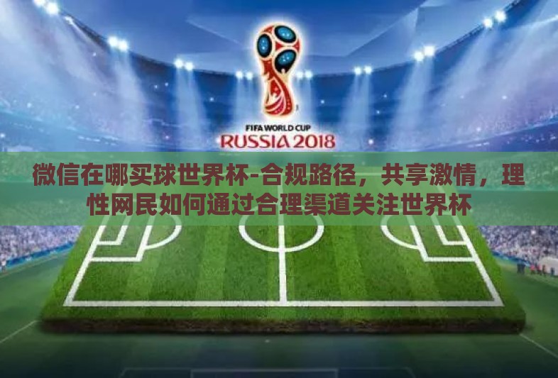 微信在哪买球世界杯-合规路径，共享激情，理性网民如何通过合理渠道关注世界杯